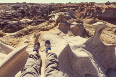 Bisti badlands vahşi alanı