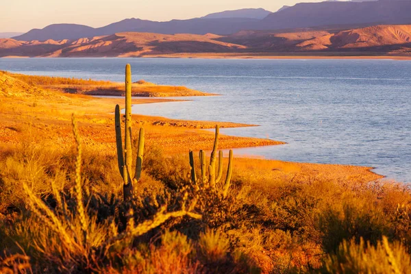 アリゾナ州の美しい風景 — ストック写真