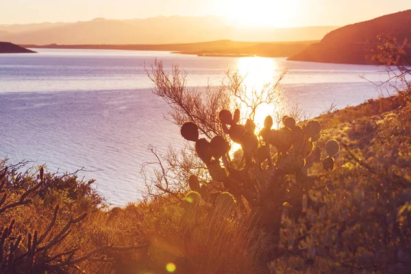 Lindas paisagens do Arizona — Fotografia de Stock
