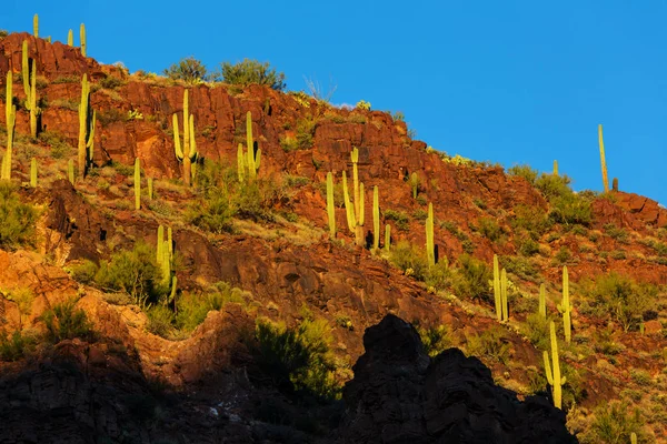 Wunderschöne arizonische Landschaften — Stockfoto