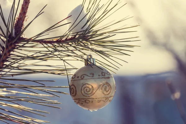 Decoración bola de Navidad —  Fotos de Stock