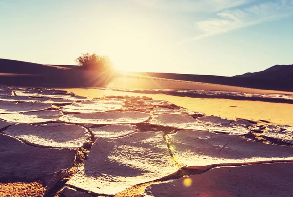 Terras secas no deserto — Fotografia de Stock