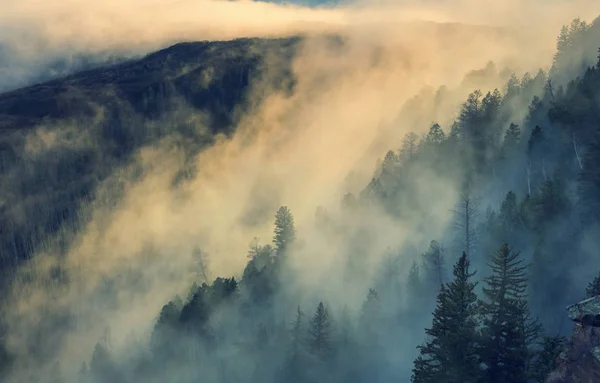 Mglisty mgła w górach — Zdjęcie stockowe