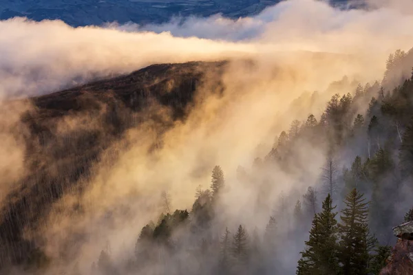 Mistige mist in Bergen — Stockfoto