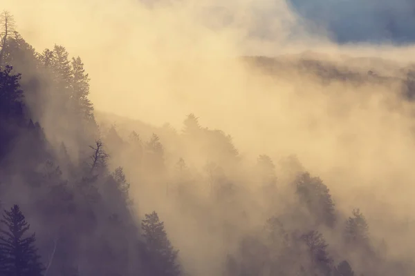 Nevoeiro enevoado nas montanhas — Fotografia de Stock