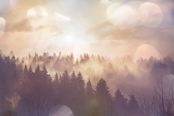 Nevoeiro enevoado nas montanhas — Fotografia de Stock