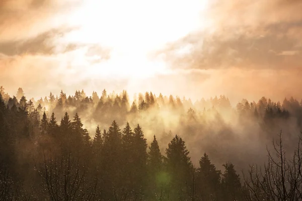 Brouillard brumeux dans les montagnes — Photo