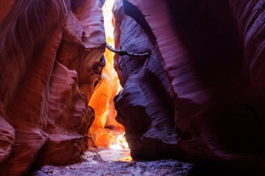 Happy Kanyon muhteşem sahne