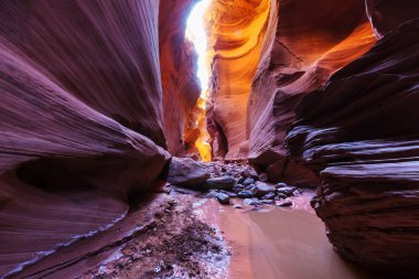 Happy Kanyon muhteşem sahne