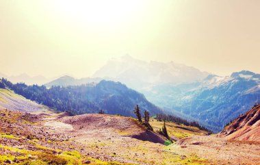Mt. Baker rekreasyon alanı