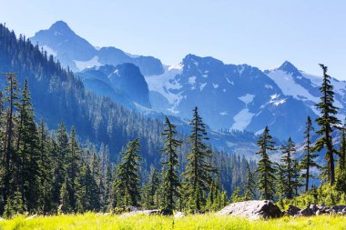 Mt. Baker rekreasyon alanı