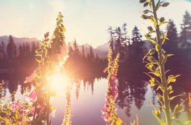 Manzara resim göl Dağı Shuksan ile