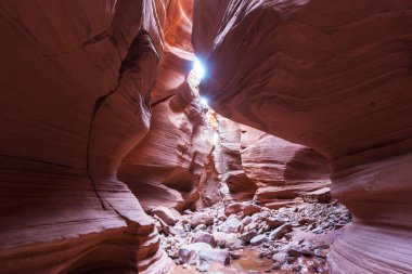 Yuvası Kanyon Grand merdiven Escalante Ulusal Parkı içinde