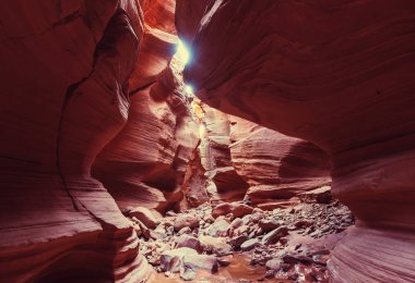 Yuvası Kanyon Grand merdiven Escalante Ulusal Parkı içinde