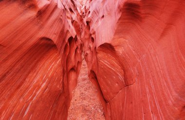 Yuvası Kanyon Grand merdiven Escalante Ulusal Parkı içinde