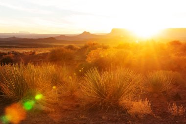Tanrılar kaya oluşumu Vadisi