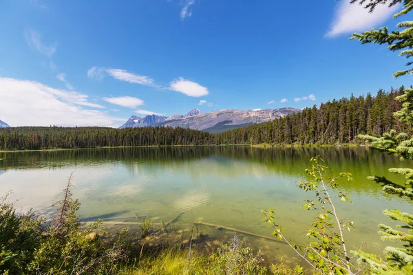 Serene jelenet a hegyi tó partján Kanadában — Stock Fotó