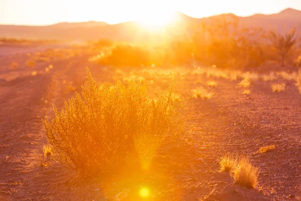 Puesta de sol escénica en las montañas —  Fotos de Stock