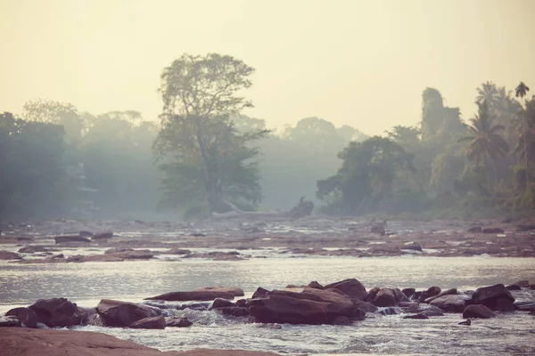 Río Serenity en la selva — Foto de Stock