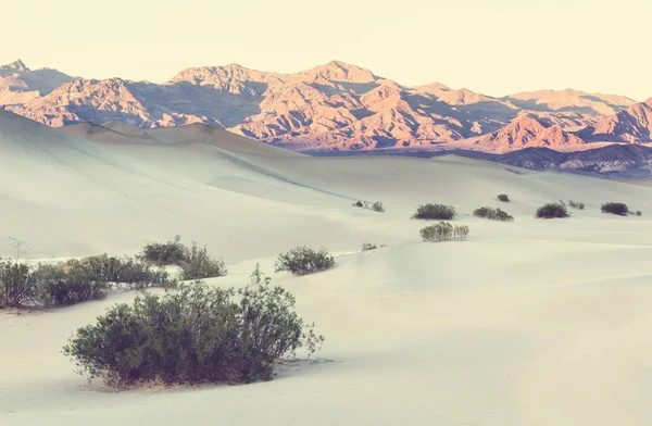 Belle dune di sabbia nel deserto all'alba — Foto Stock