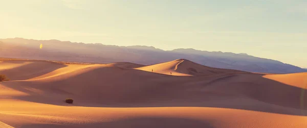 해가 뜨는 사막의 아름다운 모래 언덕 — 스톡 사진