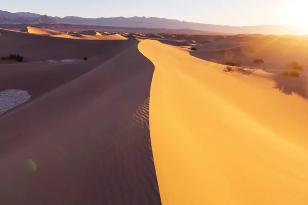 Wydmy piaskowe na pustyni Sahara — Zdjęcie stockowe