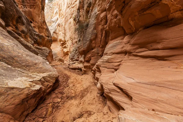 Slot canyon in Grand Staircase Escalante nationaal park — Stockfoto