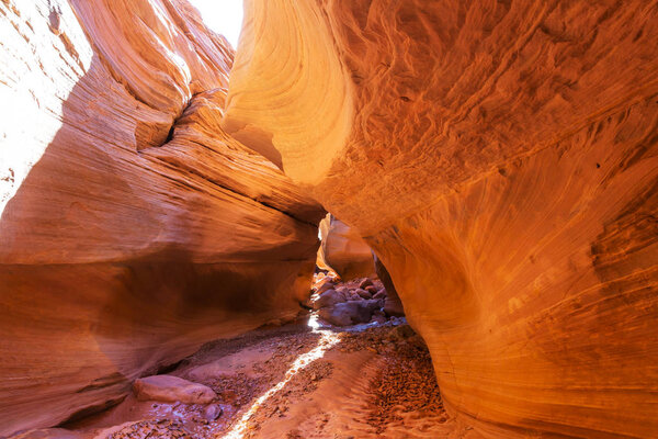 Slot canyon in Grand Staircase Escalante National park