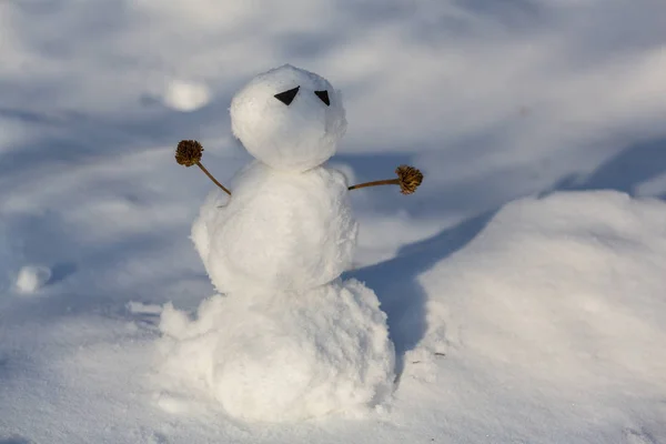 Grappige sneeuwpop gemaakt van sneeuw — Stockfoto