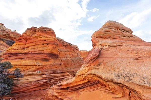 주홍 색 절벽의 코요테 Buttes — 스톡 사진