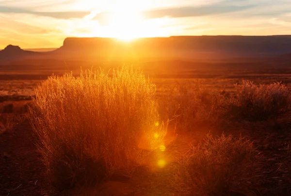 Valley of the Gods rock formation — Stock Photo, Image