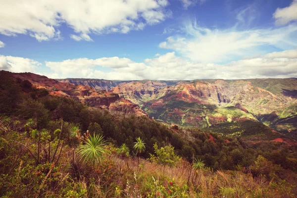 Waimea canyon, kauai, hawaii — Foto de Stock