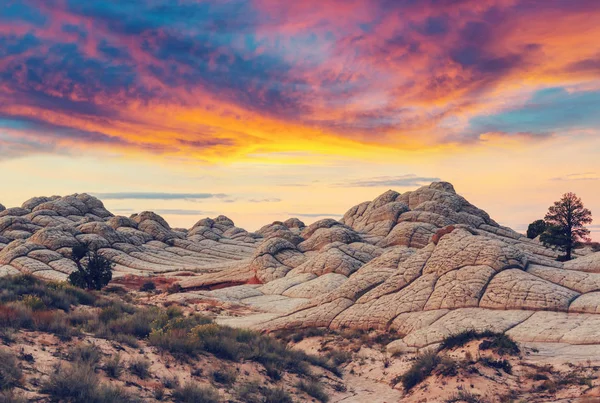 Vermilion Cliffs Narodowy pomnik — Zdjęcie stockowe