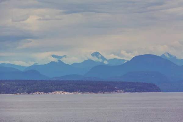 Rain forest in Vancouver island — Stock Image Rain forest in Vancouver island Royalty Free Stock Images