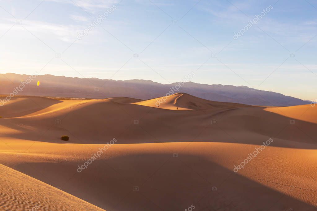 Sand dunes in the Sahara desert