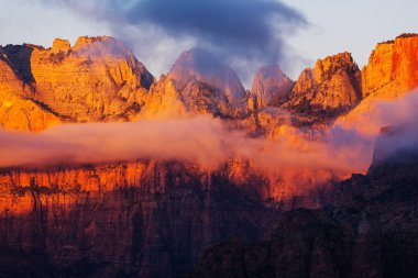 Zion national park 