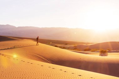 uzun yürüyüşe çıkan kimse Kum Çölü'nde