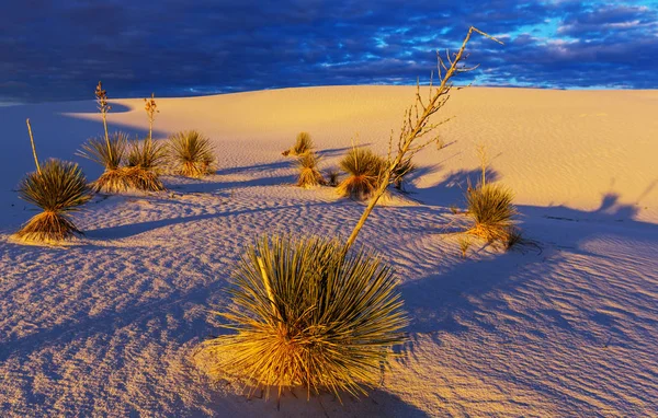 Dunas de areia branca incomuns — Fotografia de Stock