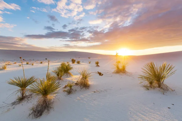 珍しい白い砂丘 — ストック写真