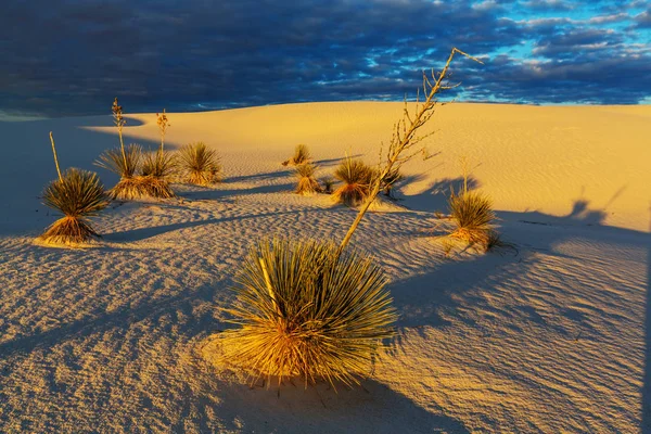 Dunas de areia branca incomuns — Fotografia de Stock