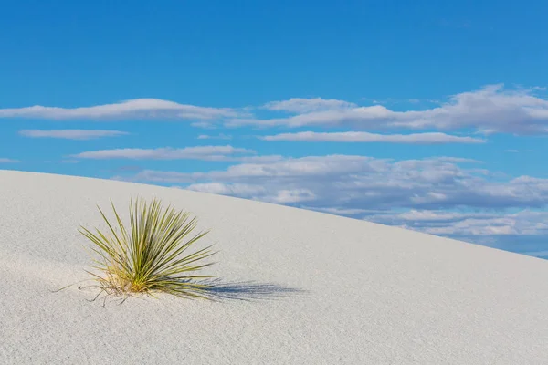 Unusual White Sand Dunes — Stock Photo, Image