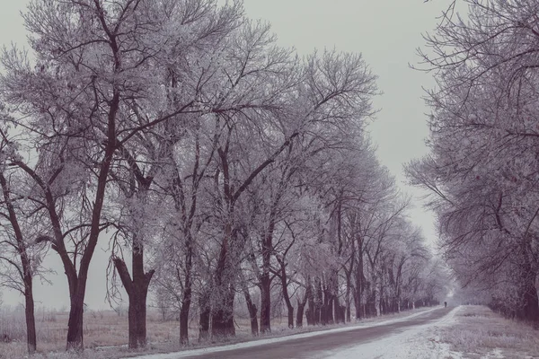 Vackra vinter gränd — Stockfoto