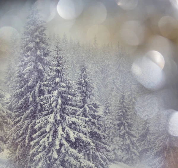 Γραφικό δάσος καλυμμένο με χιόνι κατά τη χειμερινή περίοδο — Φωτογραφία Αρχείου
