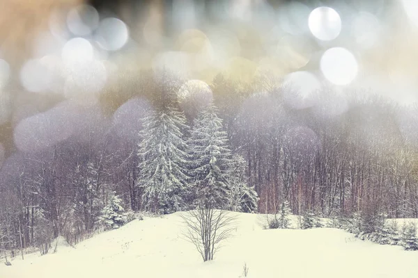 Malerischer schneebedeckter Wald in der Wintersaison — Stockfoto