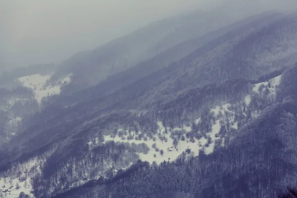 Věčným ledem v Karpatských horách — Stock fotografie