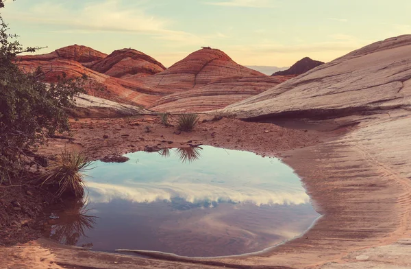 Sandstone formations in Utah — Stock Photo, Image