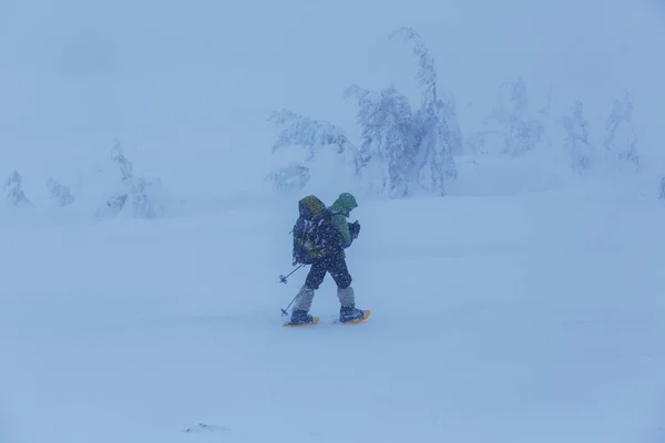 Uzun yürüyüşe çıkan kimse kış dağlarda — Stok fotoğraf