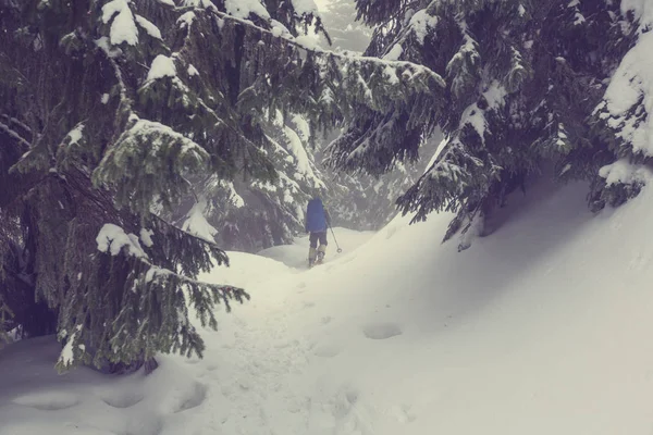Caminhante nas montanhas de inverno — Fotografia de Stock