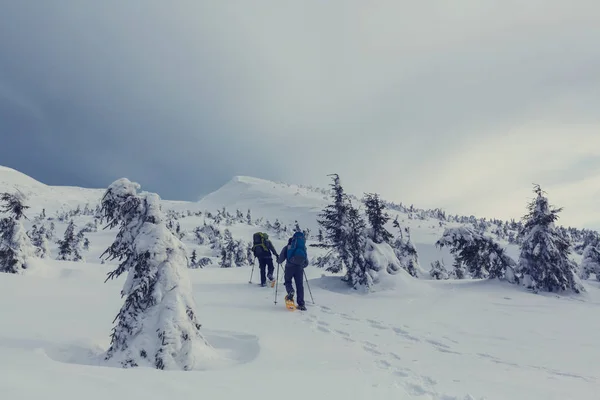 Senderistas en las montañas de invierno — Foto de Stock