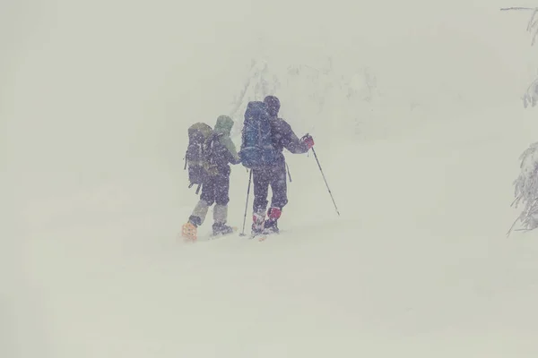 Senderistas en las montañas de invierno —  Fotos de Stock